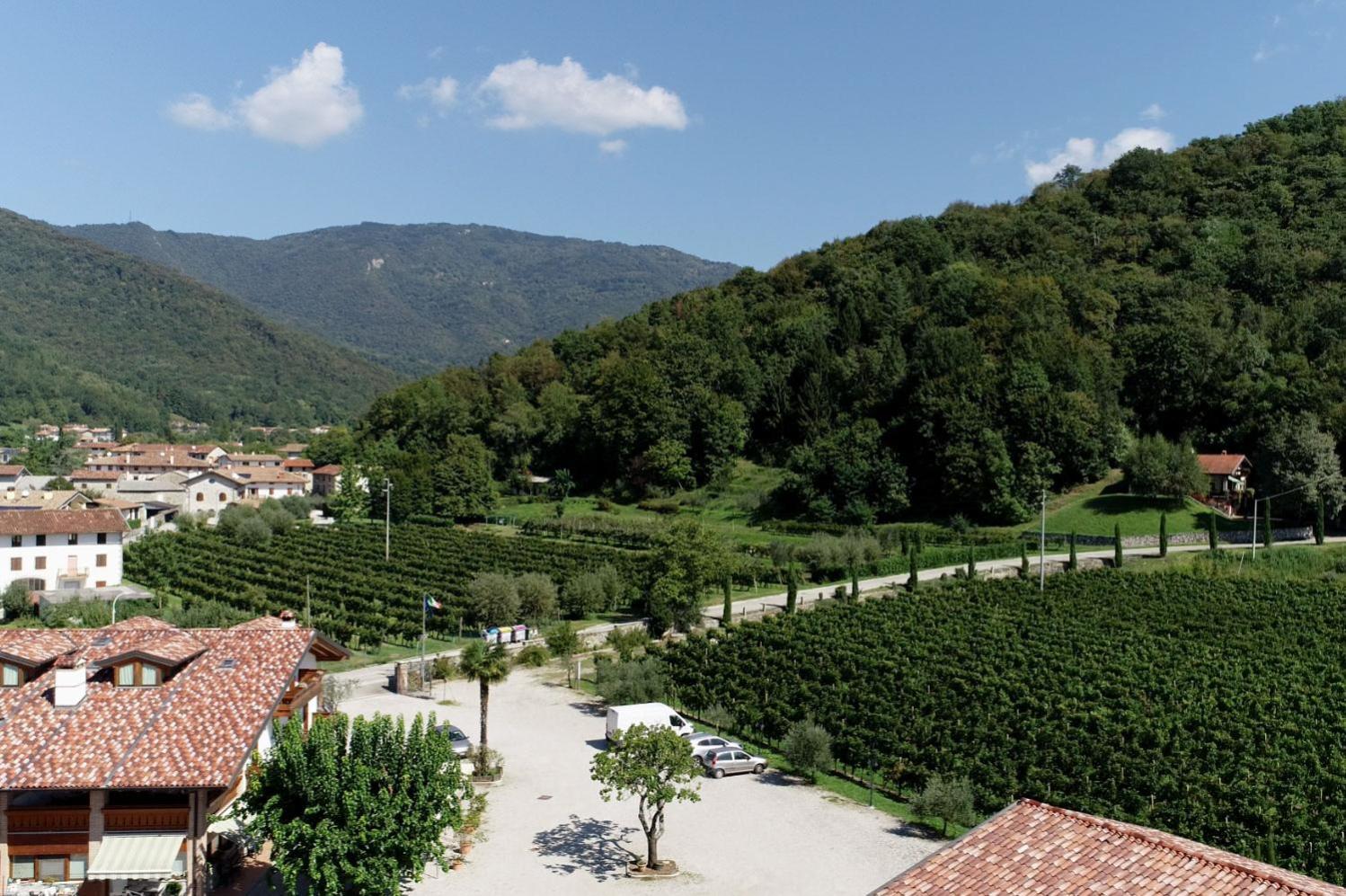 Wine Resort Faedis Dış mekan fotoğraf